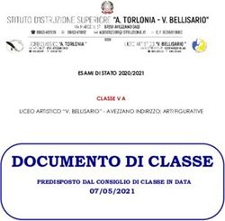 DOCUMENTO DI CLASSE 07/05/2021 - ESAMI DI STATO 2020/2021 CLASSE V A - Istituto "Torlonia-Bellisario"