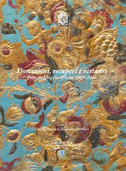 Donazioni, recuperi e restauri - Palazzo Chigi in Ariccia: 2009-2019 Daniele Petrucci, Francesco Petrucci