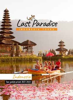 Indonesia Tour guidati privati 2021-2022 - Tour Indonesia