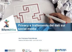 Privacy e trattamento dei dati sui social media - Avv. Francesco Paolo Micozzi Webinar 28 Ottobre 2020 - ore 12:00-13:30 - Eventi PA