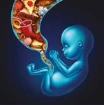 Nutrire la vita: l'alimentazione della donna prima, durante e dopo la gravidanza - ilcentro.ch