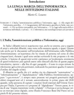 LA LUNGA MARCIA DELL'INFORMATICA NELLE ISTITUZIONI ITALIANE