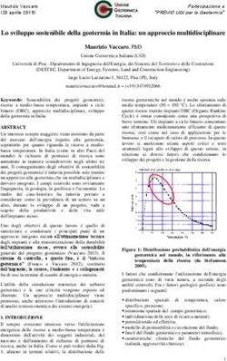 Lo sviluppo sostenibile della geotermia in Italia: un approccio multidisciplinare