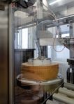&Egrave; OLTREBIO Parmigiano Reggiano - Parmigiano Reggiano Biologico - Bio Sant'Anna