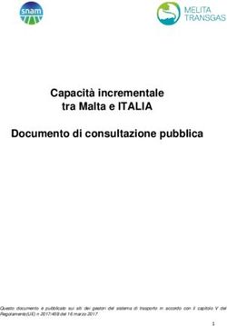 Capacit&agrave; incrementale tra Malta e ITALIA Documento di consultazione pubblica - Snam
