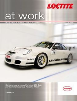 Come preparare una Porsche GT3 Cup per la sfida Supercup Porsche Mobil 1 - Magazine Ufficiale Loctite n.