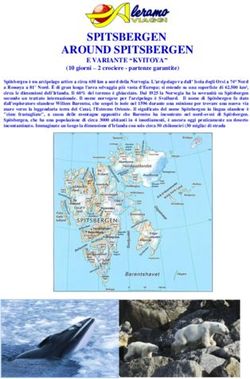 SPITSBERGEN AROUND SPITSBERGEN - E VARIANTE "KVITOYA" - Aleramo Viaggi