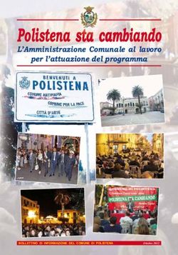 Polistena sta cambiando - L'Amministrazione Comunale al lavoro per l'attuazione del programma