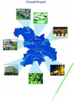 I Grandi Progetti Casale - Fondazione Cassa di Risparmio di Alessandria