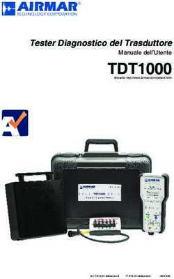 TDT1000 Tester Diagnostico del Trasduttore - Manuale dell'Utente - AIRMAR