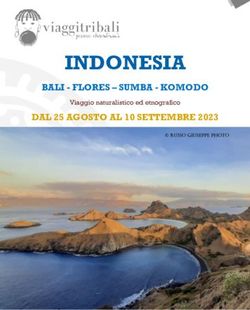 INDONESIA BALI - FLORES - SUMBA - KOMODO DAL 25 AGOSTO AL 10 SETTEMBRE 2023 - Viaggio naturalistico ed etnografico - Viaggi Tribali