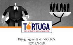 Disuguaglianza e indici BES 12/12/2018 - Tortuga Econ
