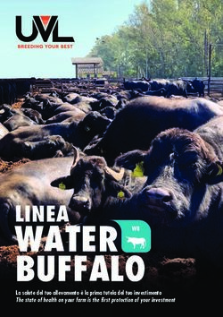 WATER BUFFALO LINEA WB - La salute del tuo allevamento &egrave; la prima tutela del tuo investimento The state of health on your farm is the first ...