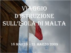 VIAGGIO D'ISTRUZIONE SULL'ISOLA DI MALTA - 18 MARZO - 21 MARZO 2009