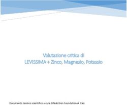 Valutazione critica di LEVISSIMA + Zinco, Magnesio, Potassio - Documento tecnico-scientifico a cura di Nutrition Foundation of Italy
