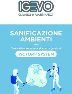 SANIFICAZIONE AMBIENTI - VICTORY SYSTEM Torna al lavoro in tutta sicurezza grazie al - Igevo