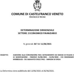 COMUNE DI CASTELFRANCO VENETO