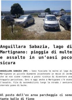 Anguillara Sabazia, lago di Martignano: pioggia di multe e assalto in un'oasi poco sicura