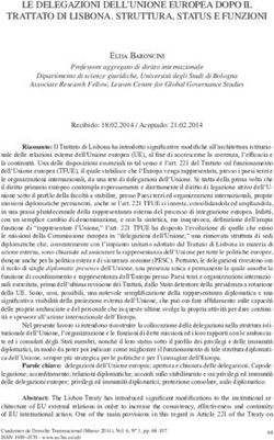 LE DELEGAZIONI DELL'UNIONE EUROPEA DOPO IL TRATTATO DI LISBONA. STRUTTURA, STATUS E FUNZIONI