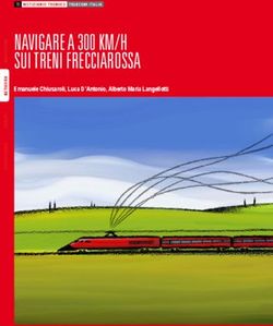 NAVIGARE A 300 KM/H SUI TRENI FRECCIAROSSA - Emanuele Chiusaroli, Luca D'Antonio, Alberto Maria Langellotti