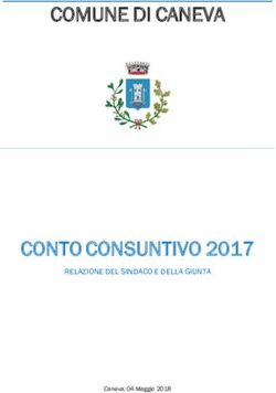 COMUNE DI CANEVA - CONTO CONSUNTIVO 2017 RELAZIONE DEL SINDACO E DELLA GIUNTA