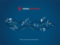 INFINITY SOLUTION FOR YOUR WORKFLOW - Visual Software