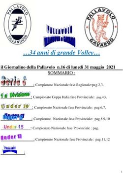 34 anni di grande Volley - Pallavolo Villanuova Gavardo