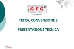 TETRA, CONVENZIONE 2 PRESENTAZIONE TECNICA - Intercent-ER