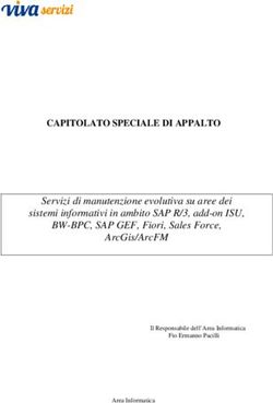 CAPITOLATO SPECIALE DI APPALTO - Servizi di manutenzione evolutiva su aree dei sistemi informativi in ambito SAP R/3, add-on ISU, BW-BPC, SAP GEF ...