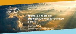 Mistral e il ruolo del supercalcolo in ambito meteo e clima - Computing Direttore del dipartimento High Performance