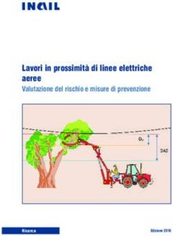 Lavori in prossimità di linee elettriche aeree - INAIL
