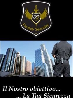 Il Nostro obiettivo . La Tua Sicurezza - Srls - Fenice Security
