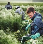 Naturale. Giusto. Buono - Bio da 25 anni per convinzione - Coop