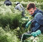 Naturale. Giusto. Buono - Bio da 25 anni per convinzione - Coop