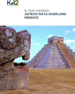 AZTECO MAYA OVERLAND MESSICO - IL TUO VIAGGIO "Image:Lo gotipo"