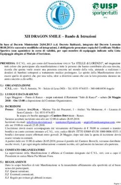 XII DRAGON SMILE - Bando & Istruzioni - dv84