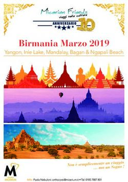 Birmania Marzo 2019 Yangon, Inle Lake, Mandalay, Bagan & Ngapali Beach - Non è semplicemente un viaggio ma un Sogno ! - Micerium Friends