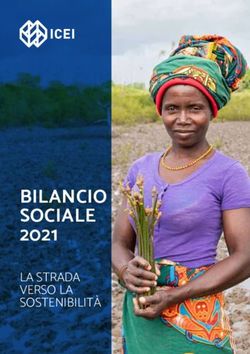BILANCIO SOCIALE 2021 - LA STRADA VERSO LA SOSTENIBILIT&Agrave; - ICEI