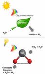 Protetti dalla luce - SISTEMA BREVETTATO AUTOSANIFICANTE 24H - Orion Veicoli Speciali