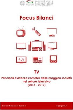 Focus Bilanci - TV Principali evidenze contabili delle maggiori societ&agrave; nel settore televisivo - AGCOM