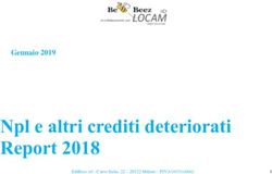 NPL E ALTRI CREDITI DETERIORATI REPORT 2018 - GENNAIO 2019 - BEBEEZ