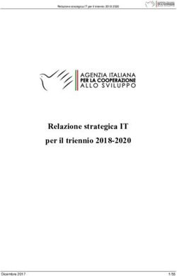 Relazione strategica IT per il triennio 2018-2020 - AICS