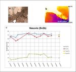 VESUVIO GENNAIO 2021 Bollettino di Sorveglianza