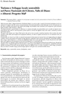 TURISMO E SVILUPPO LOCALE SOSTENIBILE NEL PARCO NAZIONALE DEL CILENTO, VALLO DI DIANO E ALBURNI: PROGETTO MAP - AGEI