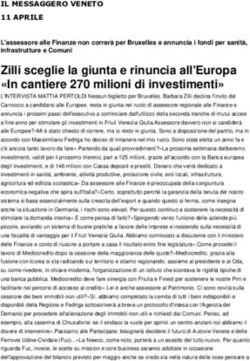 Zilli sceglie la giunta e rinuncia all'Europa "In cantiere 270 milioni di investimenti" - Anci FVG