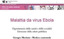 Malattia da virus Ebola - Giorgio Merlani - Medico cantonale Dipartimento della sanità e della socialità