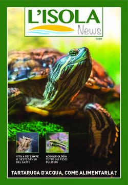 News - TARTARUGA D'ACQUA, COME ALIMENTARLA? TUTTO SUI PESCI ACQUARIOLOGIA - Tesoro in copertina