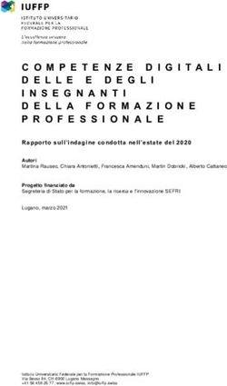 COMPETENZE DIGITALI DELLE E DEGLI - EHB