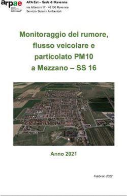 Monitoraggio del rumore, flusso veicolare e particolato PM10 a Mezzano - SS 16 - Anno 2021 - RavennaNotizie