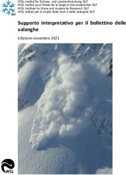 Supporto interpretativo per il bollettino delle valanghe - SLF